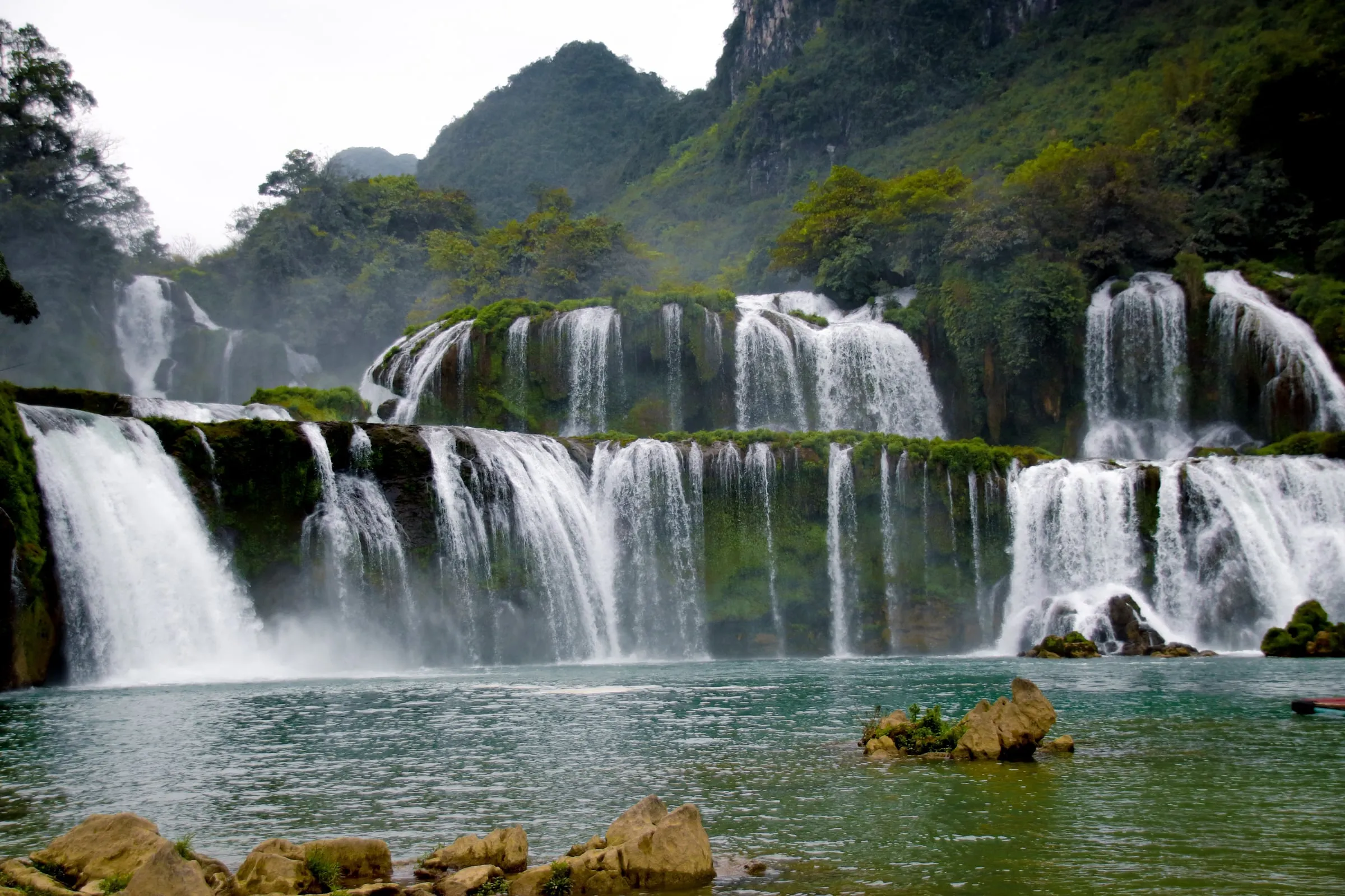 Waterfall pouring into a green forest pool