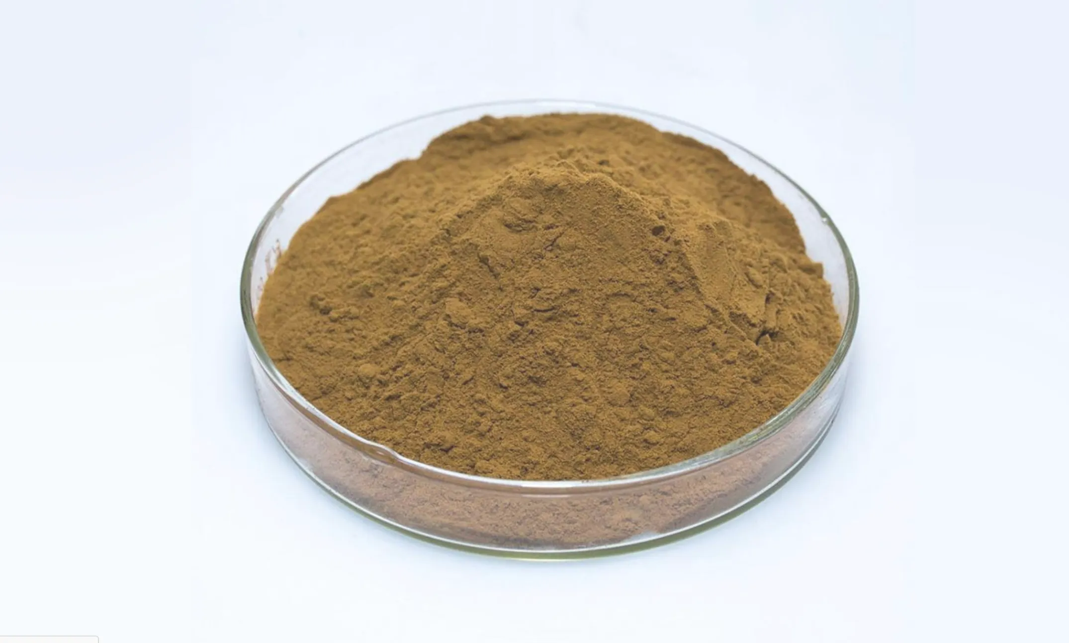 Brown shilajit powder in a shallow glass dish
