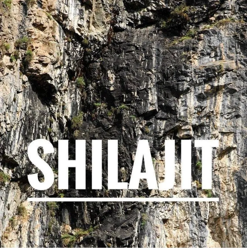 Himalayan rock face with the word Shilajit