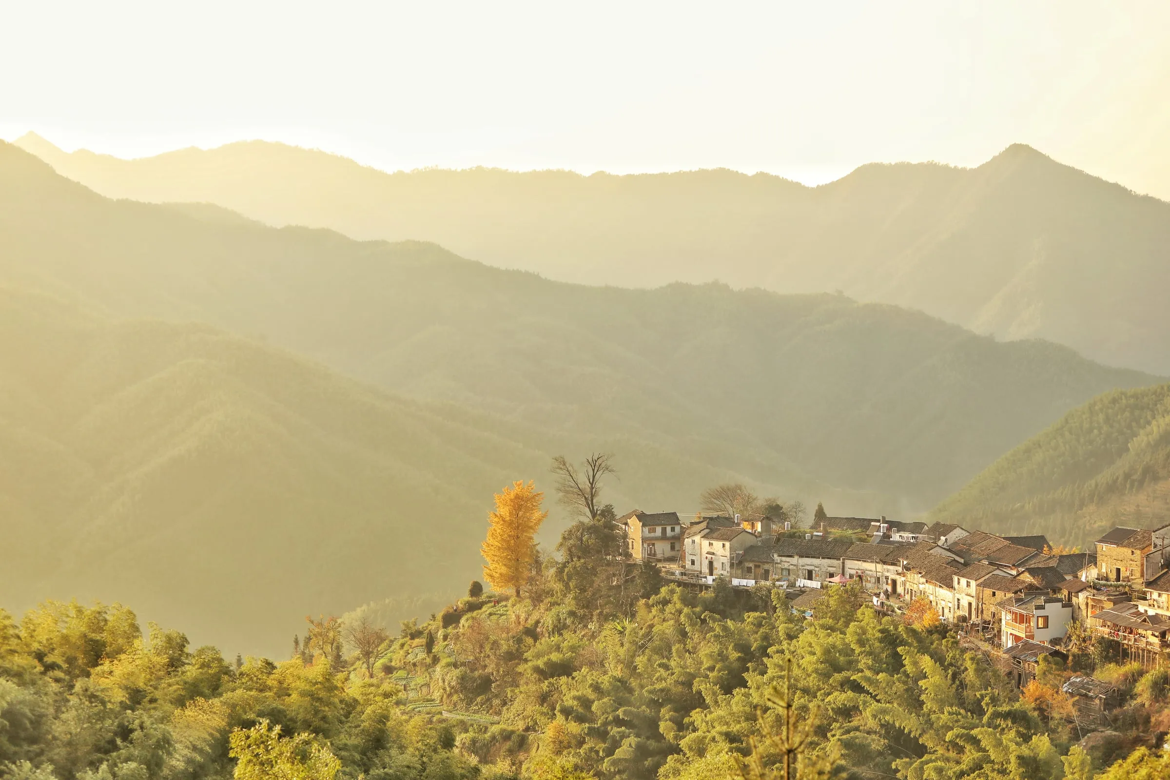 Misty golden morning over a mountain village in Huangshan