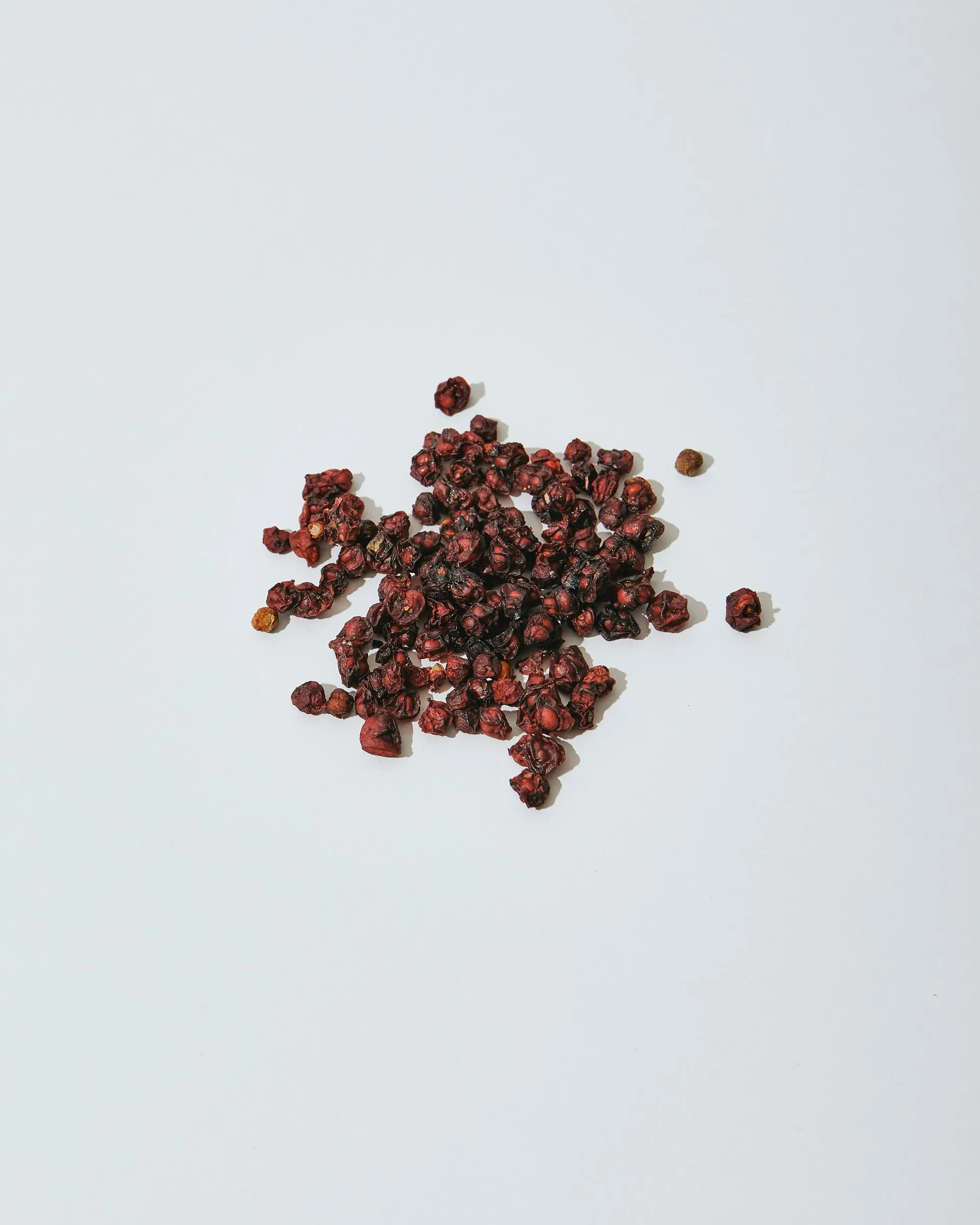 Dried schisandra berries on a white background