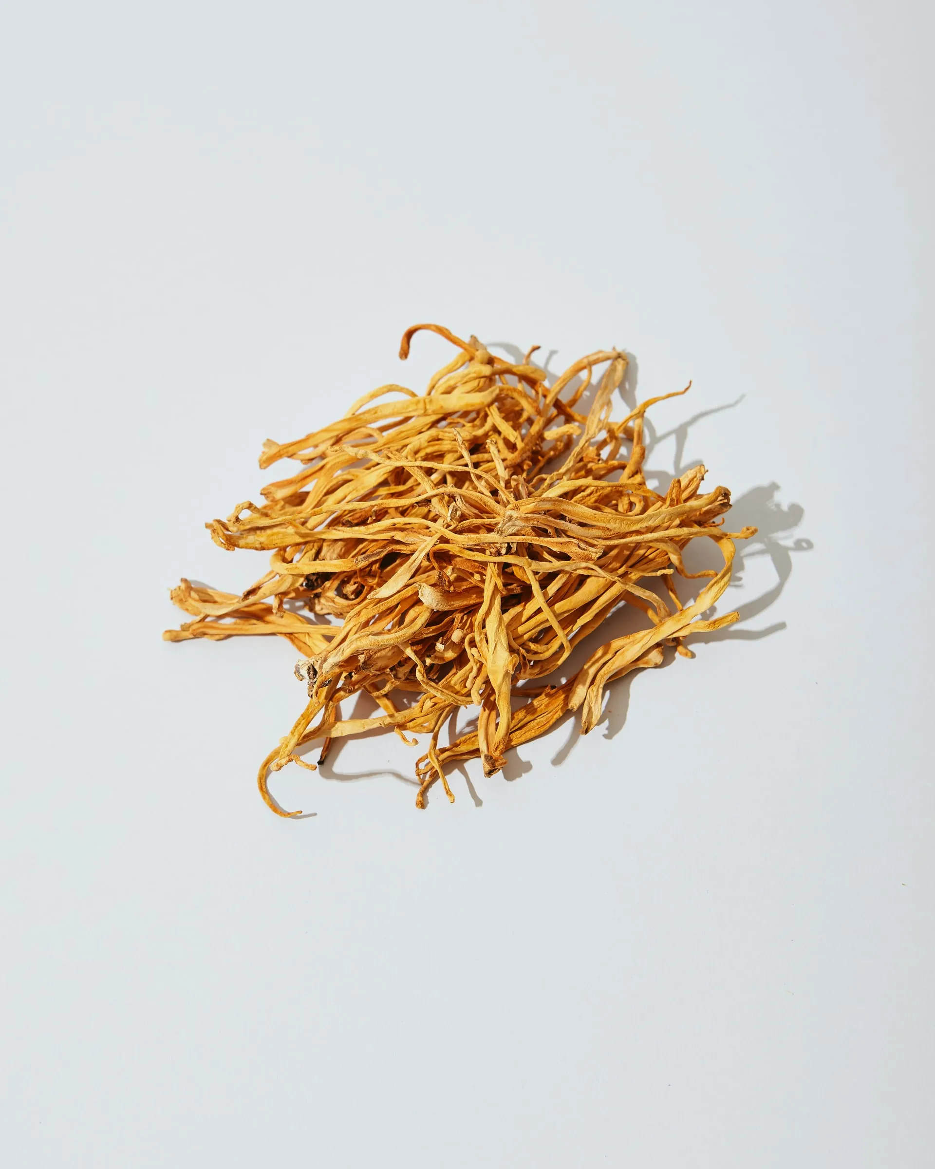 Pile of dried golden cordyceps mushrooms on a white background